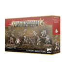 Gamers Guild AZ Age of Sigmar Age of Sigmar: Maggotkin of Nurgle - Pestigors (Pre-Order) Games-Workshop