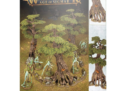 Gamers Guild AZ Age of Sigmar Warhammer Age of Sigmar: Sylvaneth - Awakened Wyldwood Games-Workshop