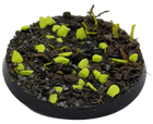 Gamers Guild AZ Base X Base X Terrain: Basecover - Toxic Desert Baron of Dice