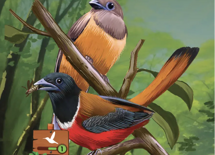 Gamers Guild AZ Bluencore Biomes of Nilgiris (Pre-Order) ACD Distribution