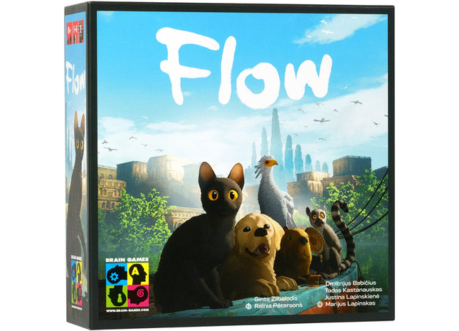 Gamers Guild AZ Brain Games Flow (Pre-Order) Asmodee