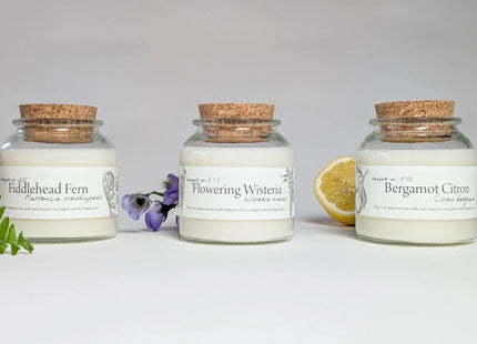 Gamers Guild AZ Cantrip Candles Cantrip Candles: Botany ~ Fiddlehead Fern Cantrip Candles