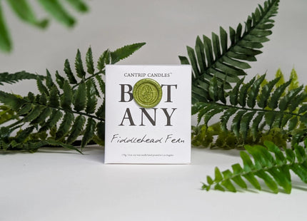Gamers Guild AZ Cantrip Candles Cantrip Candles: Botany ~ Fiddlehead Fern Cantrip Candles
