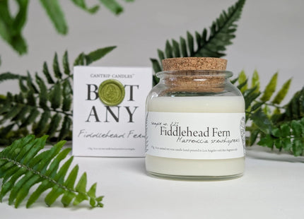 Gamers Guild AZ Cantrip Candles Cantrip Candles: Botany ~ Fiddlehead Fern Cantrip Candles