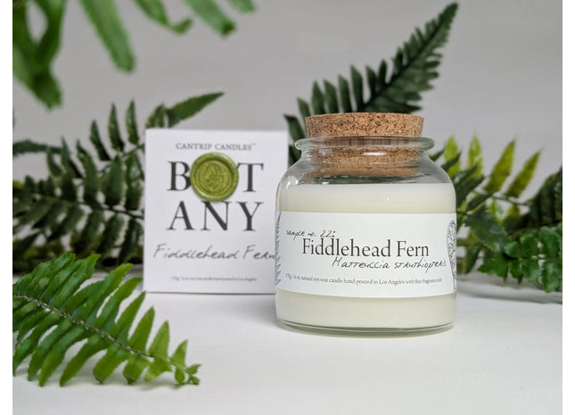 Gamers Guild AZ Cantrip Candles Cantrip Candles: Botany ~ Fiddlehead Fern Cantrip Candles