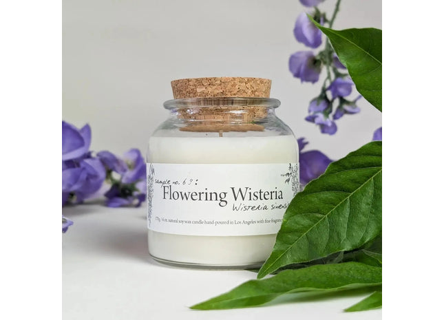Gamers Guild AZ Cantrip Candles Cantrip Candles: Botany ~ Flowering Wisteria Cantrip Candles