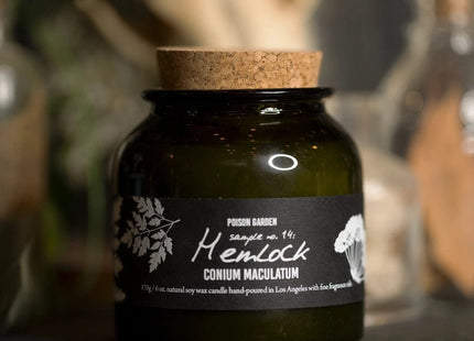 Gamers Guild AZ Cantrip Candles Cantrip Candles: Botany ~ Hemlock 6oz Candle Cantrip Candles