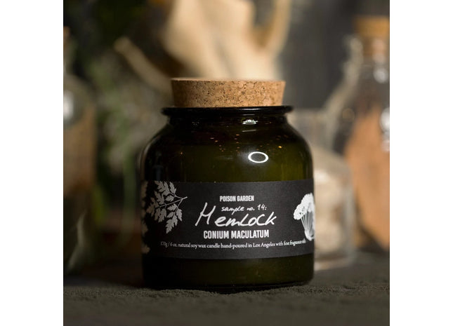 Gamers Guild AZ Cantrip Candles Cantrip Candles: Botany ~ Hemlock 6oz Candle Cantrip Candles