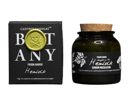 Gamers Guild AZ Cantrip Candles Cantrip Candles: Botany ~ Hemlock 6oz Candle Cantrip Candles