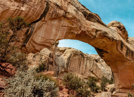 Gamers Guild AZ Cantrip Candles Cantrip Candles: Hithmari High Desert 16 oz Cantrip Candles