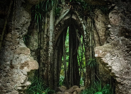 Gamers Guild AZ Cantrip Candles Cantrip Candles: Jungles of Makal 6 oz Cantrip Candles