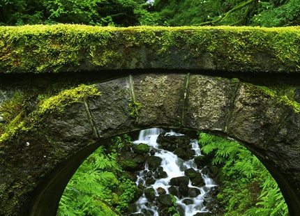 Gamers Guild AZ Cantrip Candles Cantrip Candles: Stonemoss Chapel 6 oz Cantrip Candles