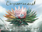 Gamers Guild AZ Chrysanthemum Productions Chrysanthemum (Pre-Order) AGD