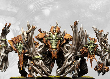 Gamers Guild AZ Conquest Conquest: Weaver Courts - Crann Guardians (Pre-Order) Para Bellum Games