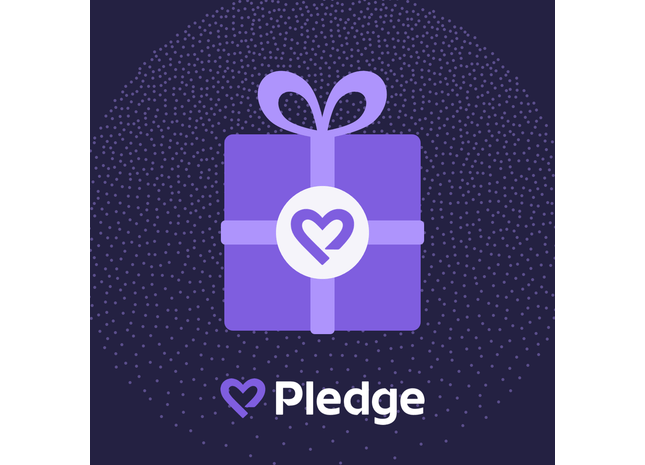 Gamers Guild AZ Donation Donation to The Trevor Project Gamers Guild AZ