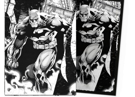 Gamers Guild AZ Dragon Shield Dragon Shield Sleeves: 100ct Box - Standard Matte Dual Art - Dark Knight Southern Hobby