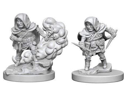 Gamers Guild AZ Dungeons & Dragons WZK72626 D&D Minis: Wave 1- Halfling Male Rogue Southern Hobby