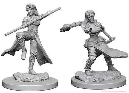 Gamers Guild AZ Dungeons & Dragons WZK72634 D&D Minis: Wave 1- Human Female Monk Southern Hobby