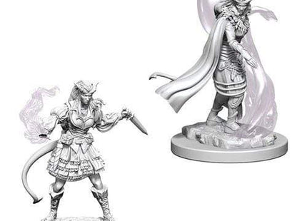 Gamers Guild AZ Dungeons & Dragons WZK73202 D&D Minis: Wave 4- Tiefling Female Sorcerer Southern Hobby