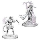 Gamers Guild AZ Dungeons & Dragons WZK73202 D&D Minis: Wave 4- Tiefling Female Sorcerer Southern Hobby