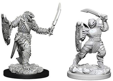 Gamers Guild AZ Dungeons & Dragons WZK73341 D&D Minis: Wave 5- Dragonborn Female Paladin Southern Hobby