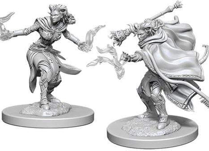 Gamers Guild AZ Dungeons & Dragons WZK73389 D&D Minis: Wave 6- Female Tiefling Warlock Southern Hobby