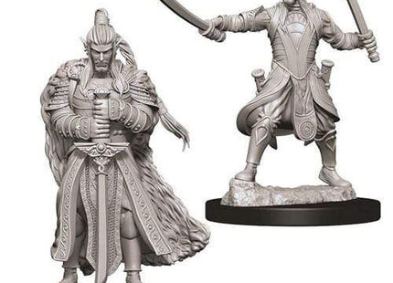 Gamers Guild AZ Dungeons & Dragons WZK73707 D&D Minis: Wave 9- Male Elf Paladin Southern Hobby