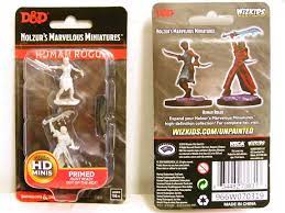 Gamers Guild AZ Dungeons & Dragons WZK73831 D&D Minis: Wave 10- Female Human Rogue Southern Hobby