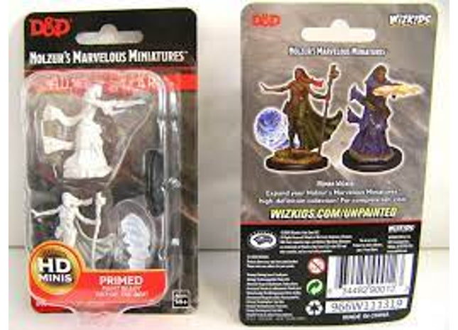 Gamers Guild AZ Dungeons & Dragons WZK90012 D&D Minis: Wave 11- Female Human Wizard Southern Hobby