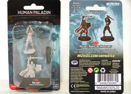 Gamers Guild AZ Dungeons & Dragons WZK90060 D&D Minis: Wave 12- Male Human Paladin Southern Hobby