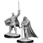 Gamers Guild AZ Dungeons & Dragons WZK90136 D&D Minis: Wave 13 - Human Paladin Male Southern Hobby