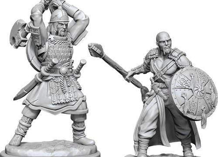 Gamers Guild AZ Dungeons & Dragons WZK90138 D&D Minis: Wave 13- Human Barbarian Male Southern Hobby