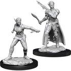 Gamers Guild AZ Dungeons & Dragons WZK90148 D&D Minis: Wave 13- Shifter Rogue Female Southern Hobby