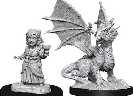 Gamers Guild AZ Dungeons & Dragons WZK90153 D&D Minis: Wave 13- Silver Dragon Wyrmling & Female Halfling Southern Hobby