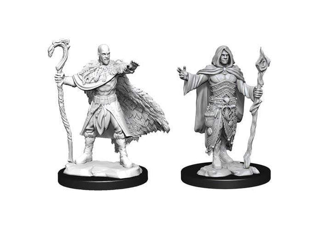 Gamers Guild AZ Dungeons & Dragons WZK90221 D&D Minis: Wave 14- Human Druid Male Southern Hobby