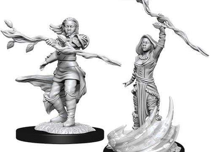 Gamers Guild AZ Dungeons & Dragons WZK90223 D&D Minis: Wave 14- Human Druid Female Southern Hobby