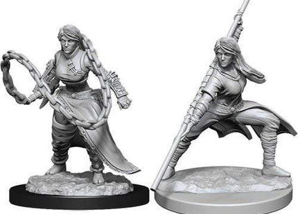 Gamers Guild AZ Dungeons & Dragons WZK90225 D&D Minis: Wave 14- Human Monk Female Southern Hobby