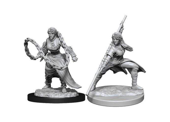 Gamers Guild AZ Dungeons & Dragons WZK90225 D&D Minis: Wave 14- Human Monk Female Southern Hobby