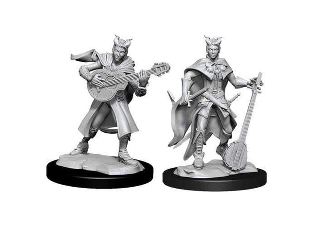 Gamers Guild AZ Dungeons & Dragons WZK90226 D&D Minis: Wave 14- Tiefling Bard Female Southern Hobby