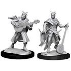 Gamers Guild AZ Dungeons & Dragons WZK90226 D&D Minis: Wave 14- Tiefling Bard Female Southern Hobby