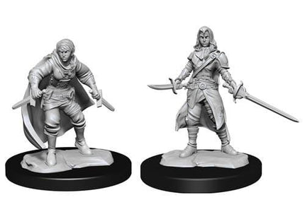 Gamers Guild AZ Dungeons & Dragons WZK90228 D&D Minis: Wave 14- Half-Elf Rogue Female Southern Hobby