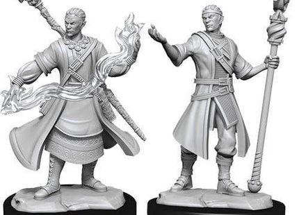 Gamers Guild AZ Dungeons & Dragons WZK90229 D&D Minis: Wave 14- Half-Elf Wizard Male Southern Hobby