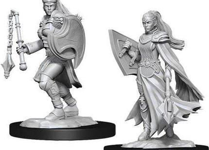 Gamers Guild AZ Dungeons & Dragons WZK90233 D&D Minis: Wave 14- Kalashtar Cleric Female Southern Hobby