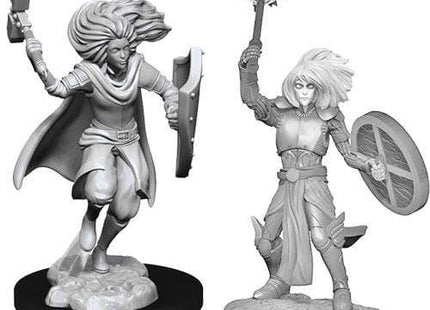 Gamers Guild AZ Dungeons & Dragons WZK90237 D&D Minis: Wave 14- Changeling Cleric Male Southern Hobby