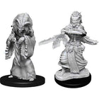 Gamers Guild AZ Dungeons & Dragons WZK90239 D&D Minis: Wave 14- Night Hag & Dusk Hag Southern Hobby