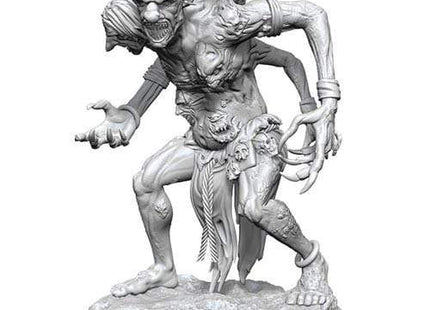 Gamers Guild AZ Dungeons & Dragons WZK90257 D&D Minis: Wave 14- Dire Troll Southern Hobby