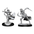 Gamers Guild AZ Dungeons & Dragons WZK90305 D&D Minis: Wave - 15 Female Air Genasi Southern Hobby