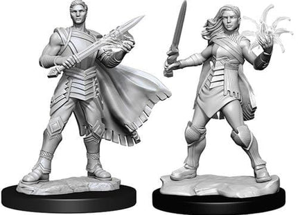 Gamers Guild AZ Dungeons & Dragons WZK90342 MTG Minis: Wave 3 - Rowan and Will Kenrith Southern Hobby