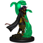 Gamers Guild AZ Dungeons & Dragons WZK93001 D&D Icons of the Realms: Premium Set 1-Tiefling Female Sorcerer Southern Hobby