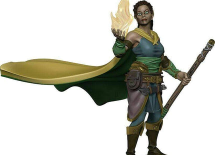 Gamers Guild AZ Dungeons & Dragons WZK93003 D&D Icons of the Realms: Premium Set 1- Elf Female Druid Southern Hobby